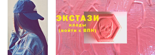 гидра Арсеньев