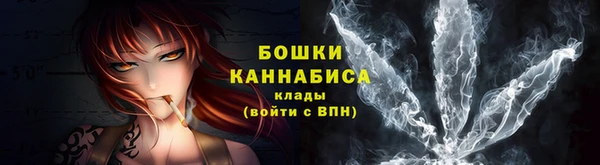 гидра Арсеньев