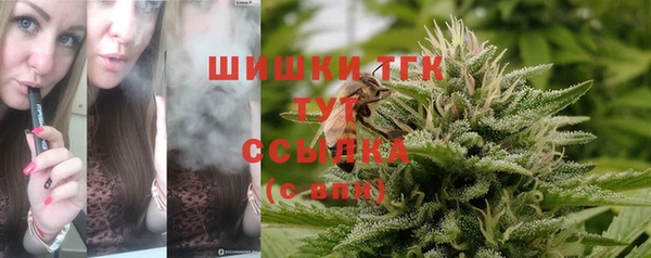 гидра Арсеньев