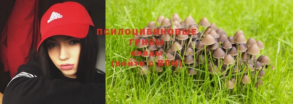 гидра Арсеньев